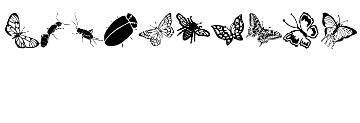 Insects Font OTHER CHARS