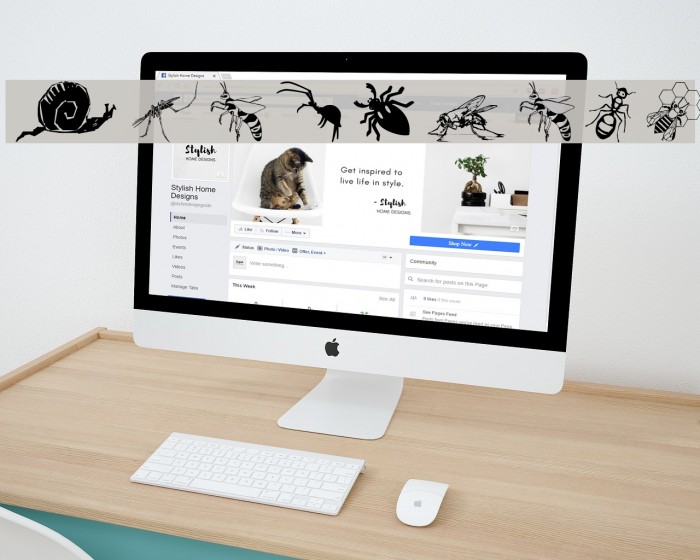 Insects07 Font examples