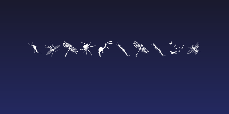 InsectsTwo Social Header