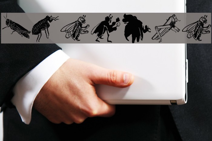 Insects Font examples