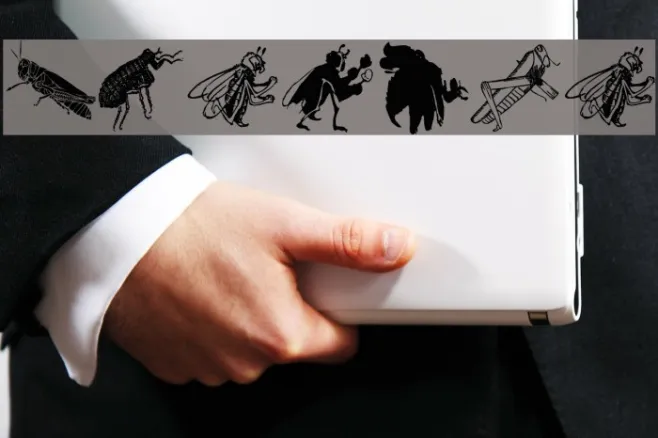 Insects Example 1
