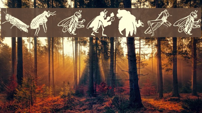 Insects Font examples