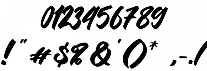 Insecure Font OTHER CHARS