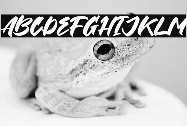 Insecure Font examples