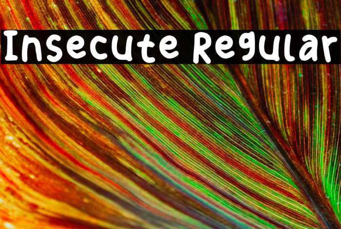 Insecute Regular Example 3