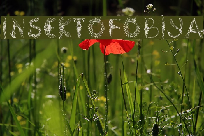 Insektofobiya Font examples