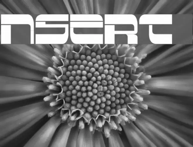 Insert 2 Шрифта examples