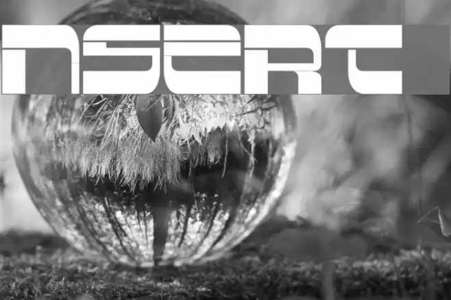 Insert 2 Шрифта examples