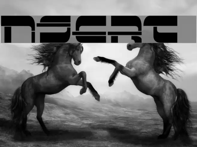 Insert 3 Font examples