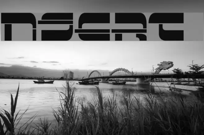 Insert 3 Font examples