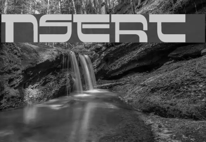 Insert 4 フォント examples