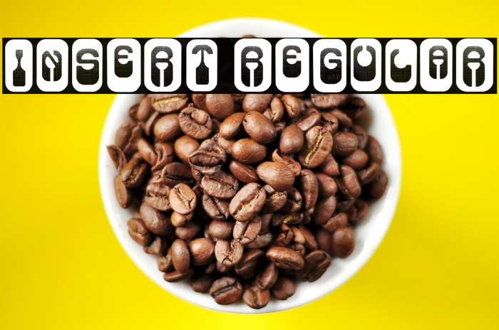 Insert Regular Example 1