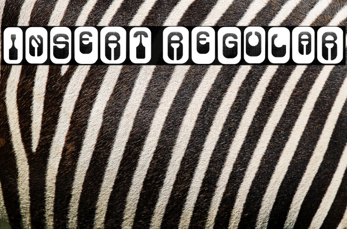 Insert Regular Example 2