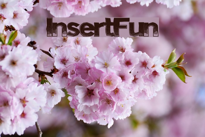 InsertFun Font examples
