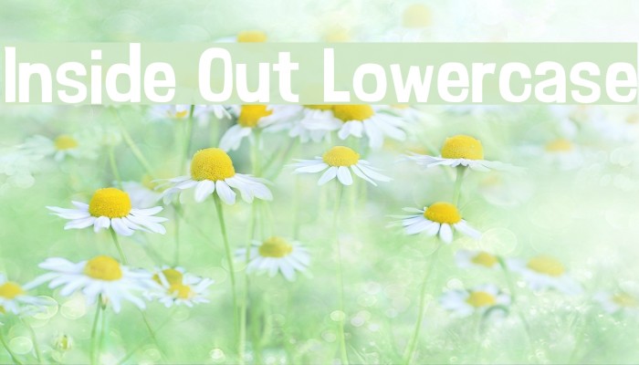 Inside Out Lowercase Font examples