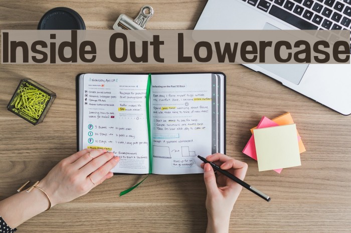Inside Out Lowercase Font examples
