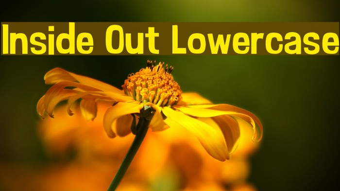 Inside Out Lowercase Font examples