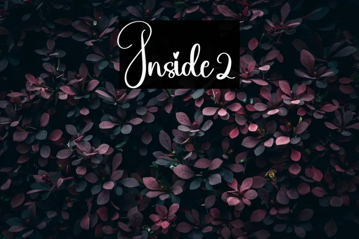 Inside2 Example 2