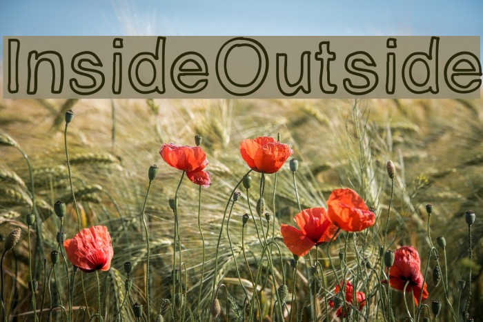 InsideOutside لخطوط تنزيل examples