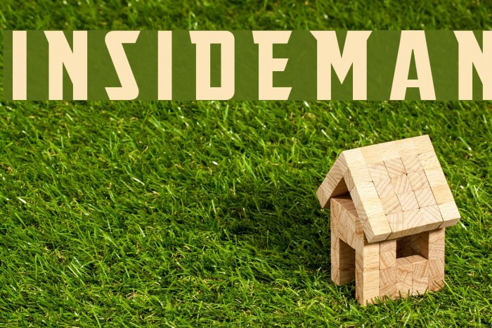 Insideman Font examples