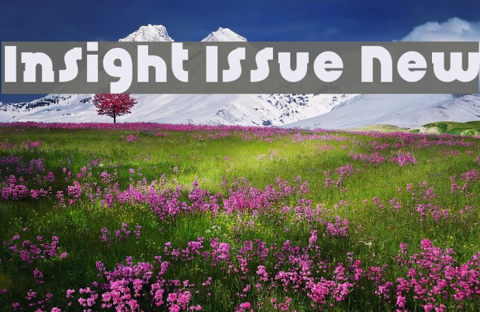 Insight Issue New フォント examples