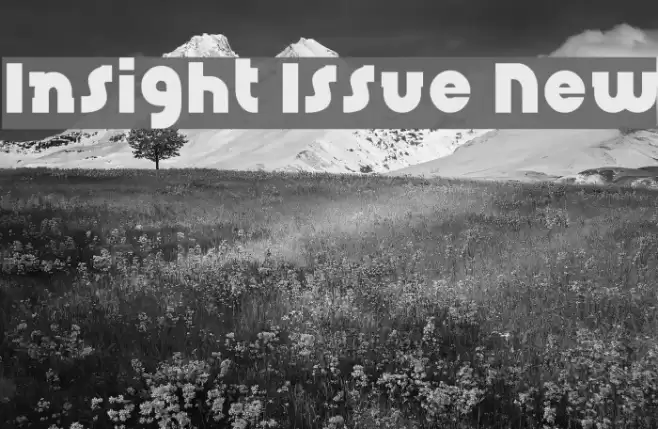Insight Issue New フォント examples