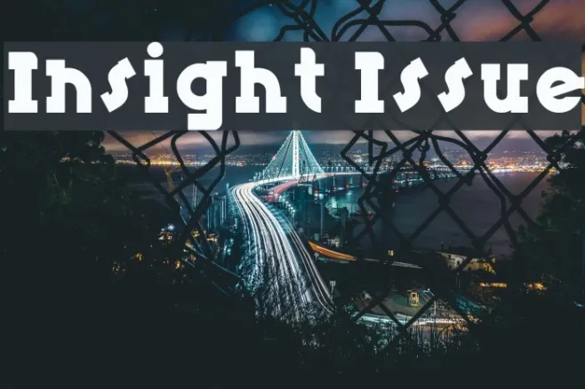 Insight Issue Example 1