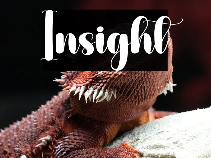 Insight Example 3