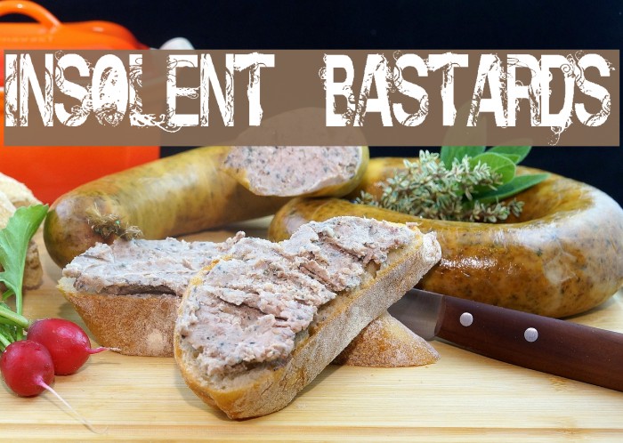 Insolent_Bastards Example 1