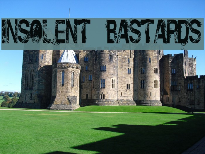 Insolent_Bastards Example 2