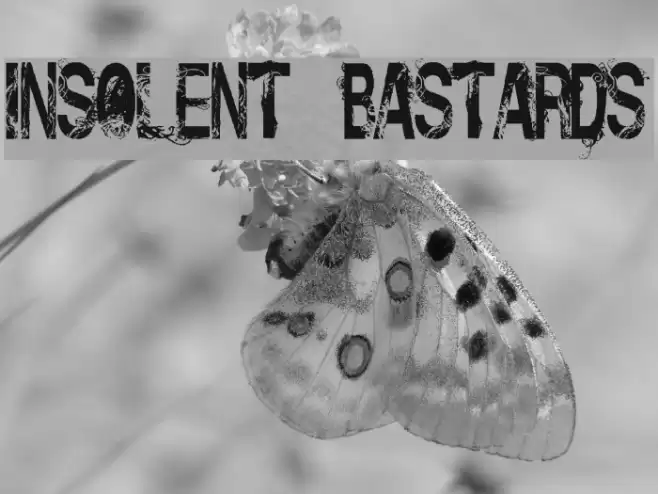 Insolent_Bastards Font examples