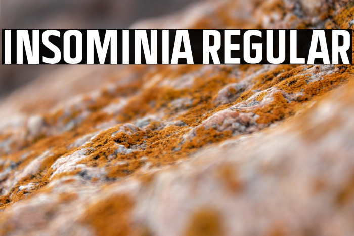 Insominia Regular Example 1