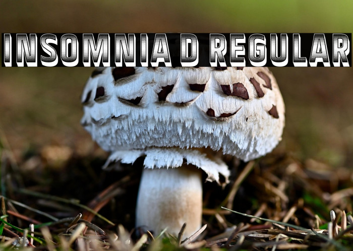 Insomnia 3D Regular Example 2