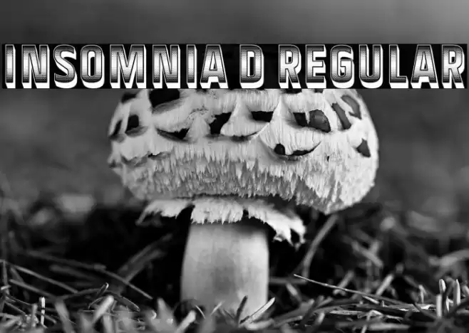 Insomnia 3D Regular Font examples