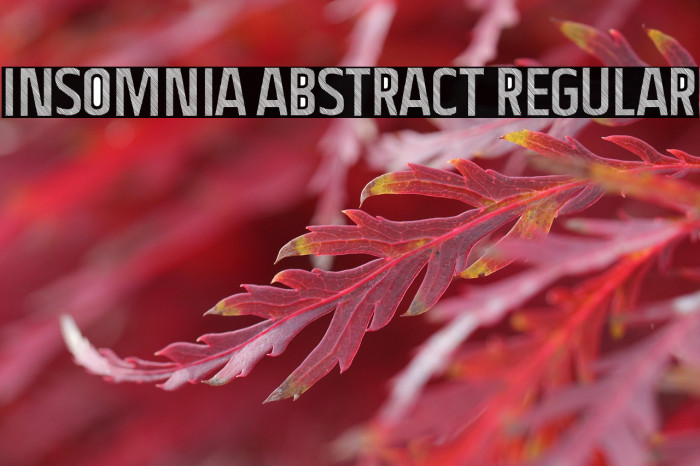 Insomnia Abstract Regular Example 3