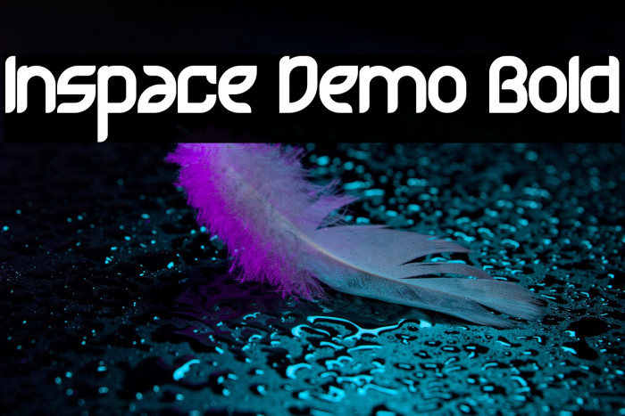 Inspace Demo Bold Example 2