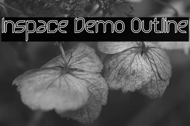 Inspace Demo Outline Font examples