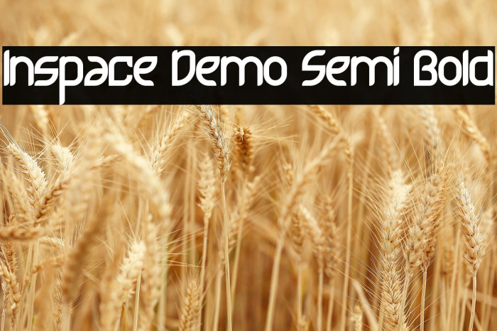 Inspace Demo Semi Bold Example 1