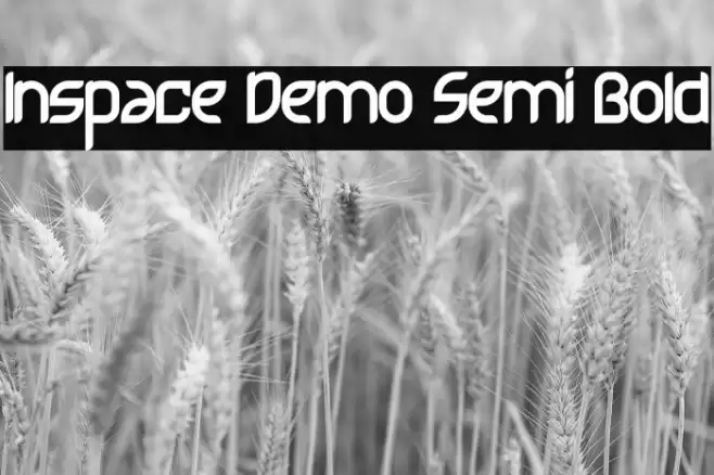 Inspace Demo Semi Bold Font examples