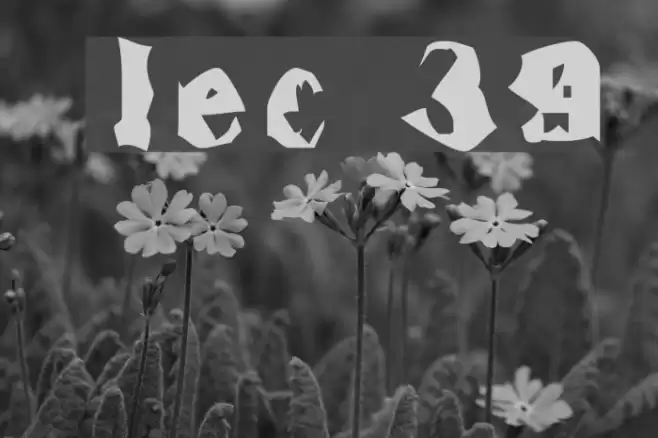 Inspector 39 Font examples