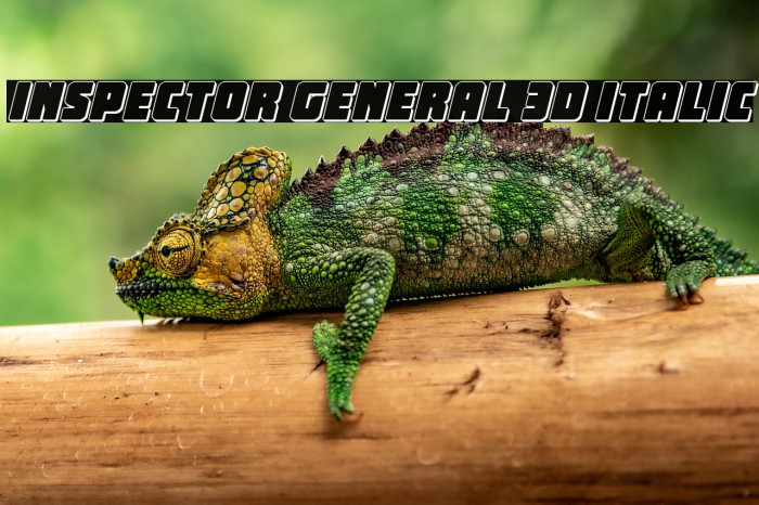 Inspector General 3D Italic Example 3