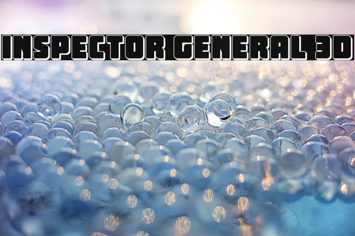 Inspector General 3D Example 3