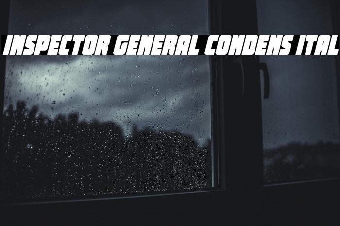 Inspector General Condens Ital Example 2