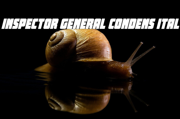 Inspector General Condens Ital Example 3