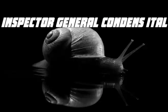 Inspector General Condens Ital Font examples