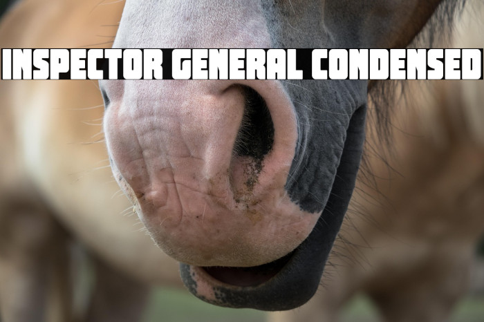 Inspector General Condensed Example 1