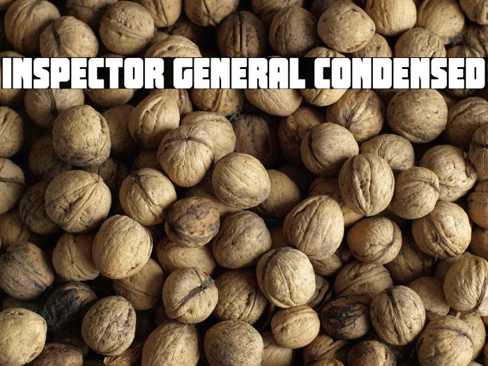 Inspector General Condensed Example 3