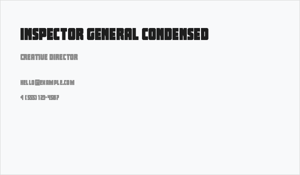 Inspector General Condensed Business Card