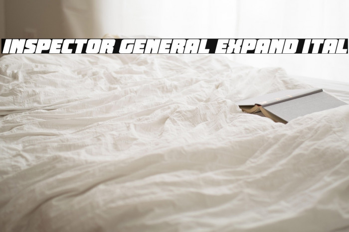 Inspector General Expand Ital Example 1
