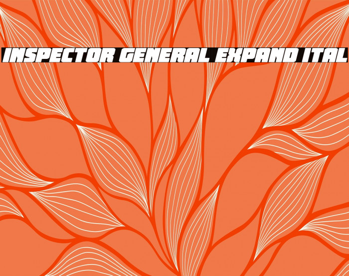 Inspector General Expand Ital Example 2